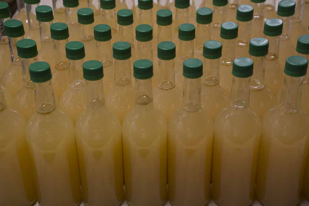 Back to School + Juicing time