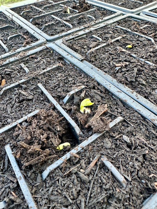 Signs of a new season