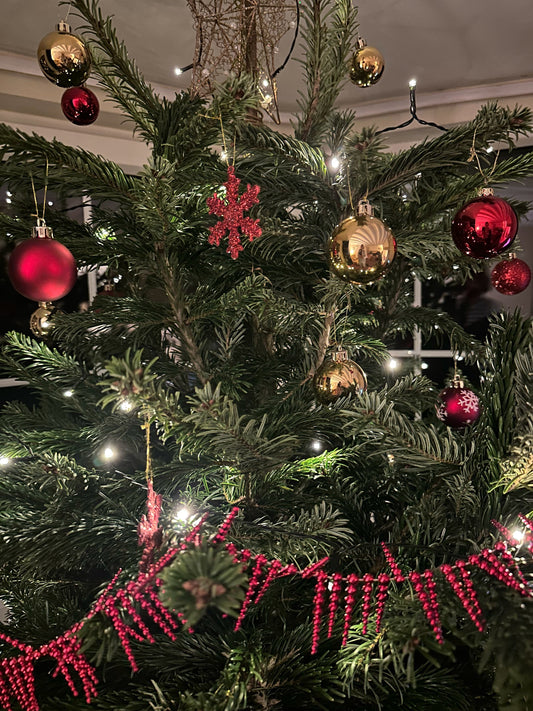 Merry Christmas