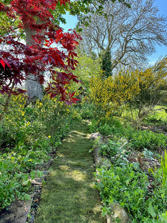 In The Garden