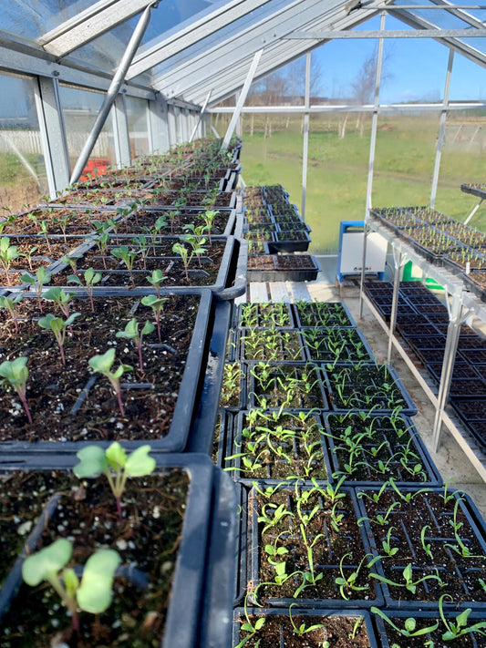 Spring has sprung!