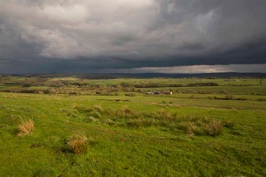 Deliveries in Beautiful Countryside
