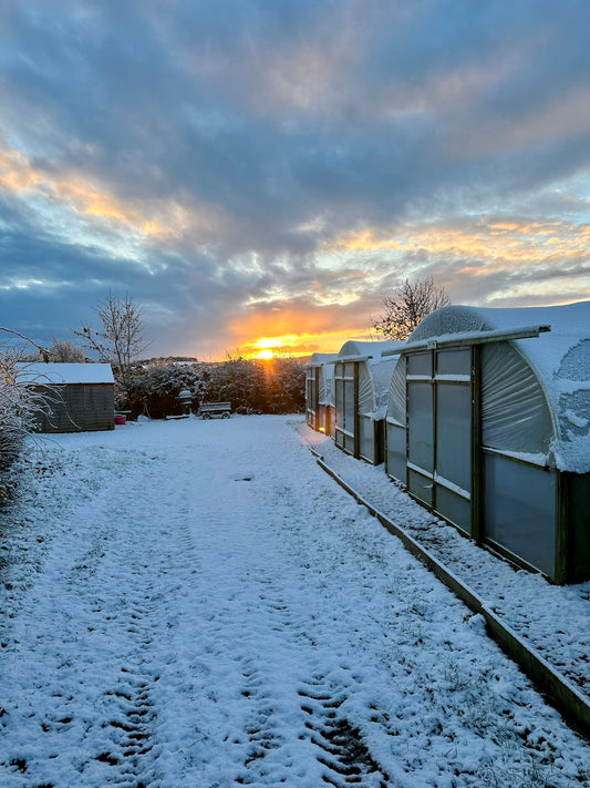 Start of Winter