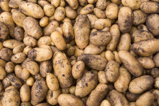 Listening to No-Till Podcast