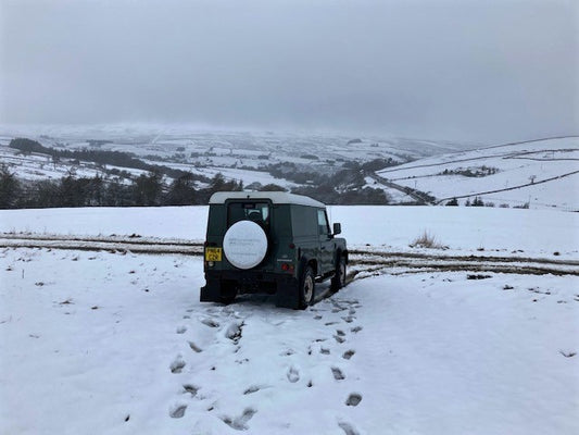 First Snow of the Winter