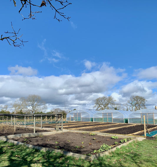 Soft Fruit Area completed