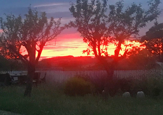 Summer Solstice