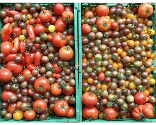 Lots To Harvest