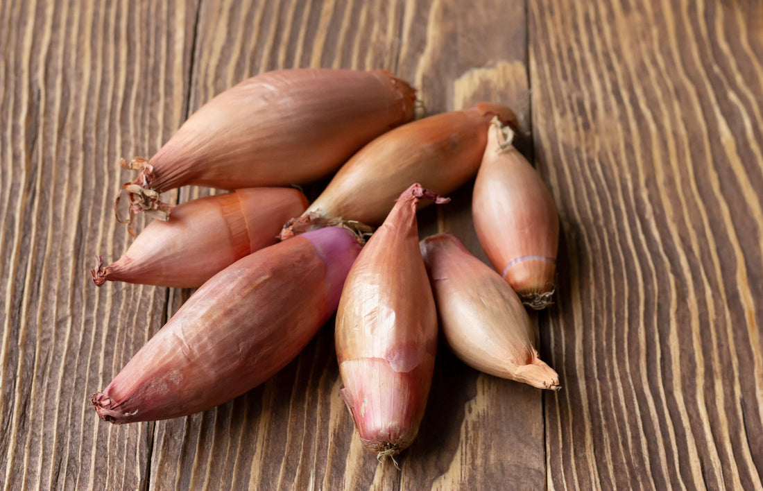 Shallots