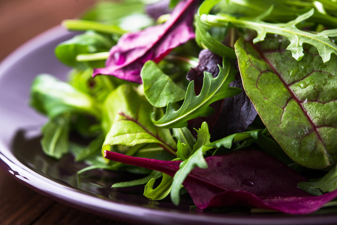 Salad Leaves Mix