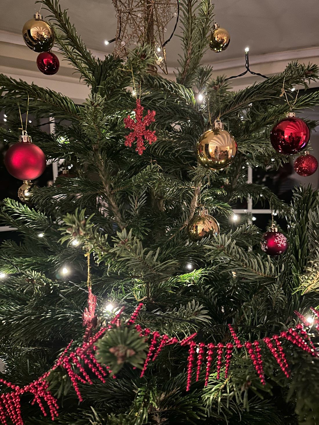 Merry Christmas