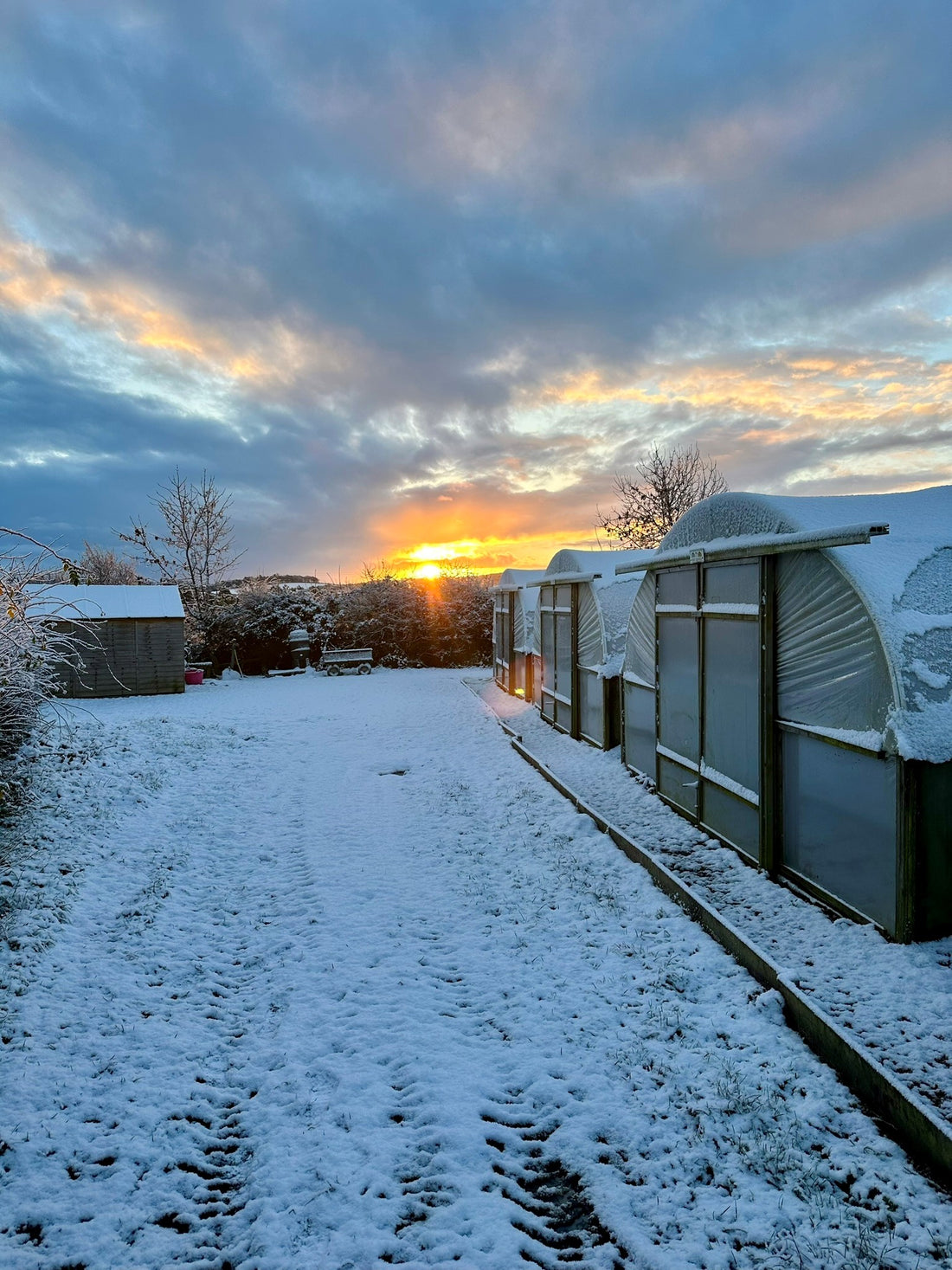 Start of Winter