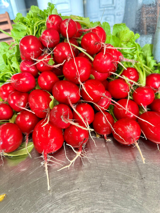 Harvesting Bountiful Beds of Vegetables