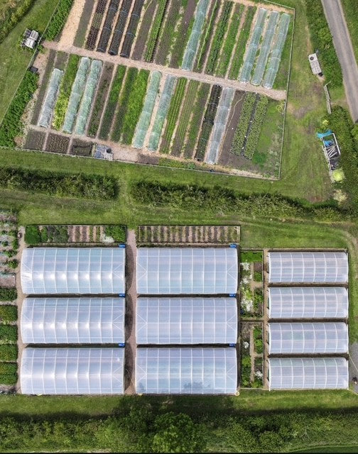 Hexhamshire Organics is returning