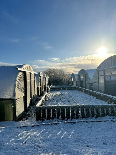 Preparation against the freezing temperatures