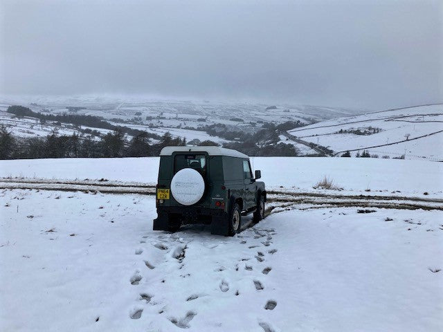 First Snow of the Winter