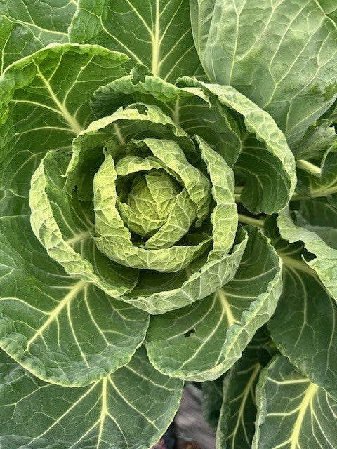 October is a nice month