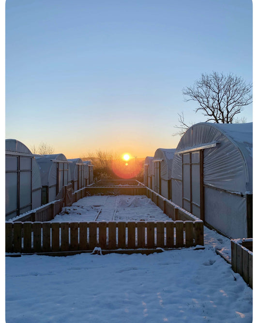 More Snow