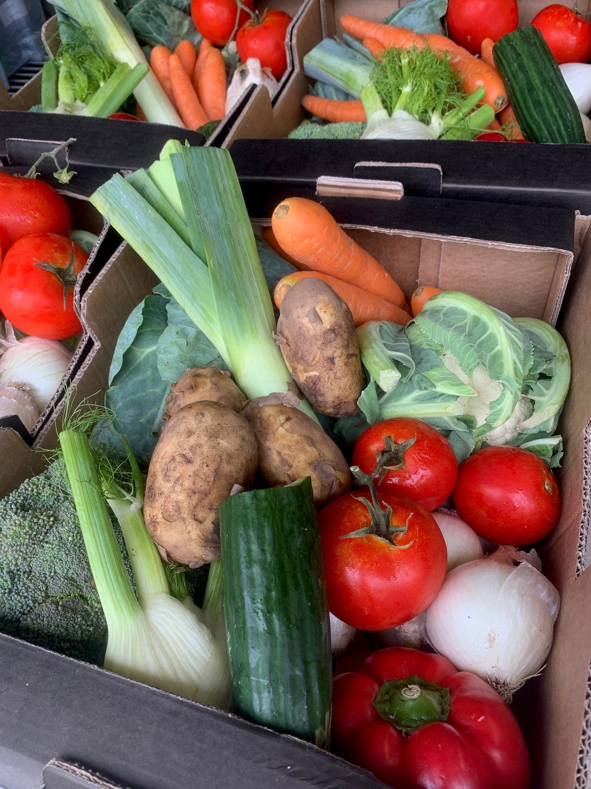 Gardener’s Box